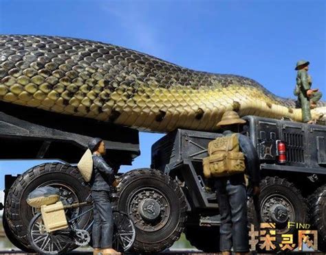 秦岭挖出巨蛇是真的吗
