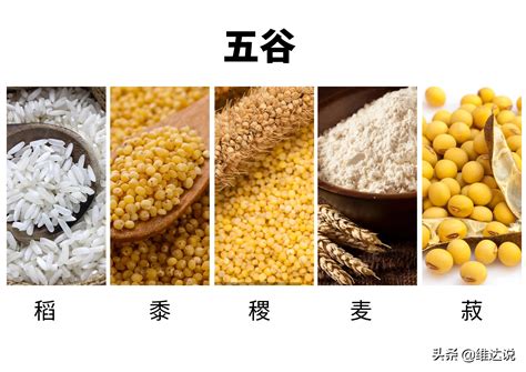 稻粱菽麦黍稷是哪六谷