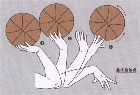篮球投篮的正确发力和姿势慢动作
