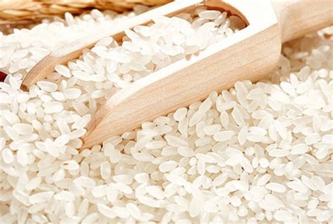 粳米到底是什么样的米