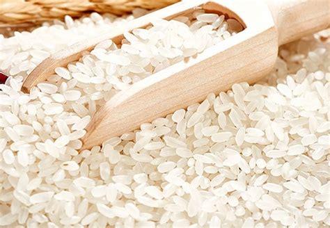 粳米是什么米它的别名叫什么