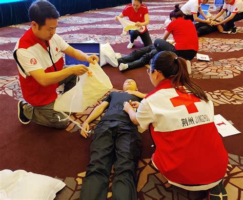 红十字会急救培训有哪些内容