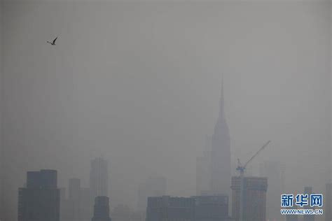 纽约上空都是什么雾霾