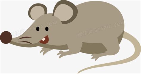 给一个小老鼠取名叫什么