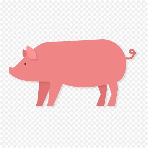 给粉色的猪起一个名字