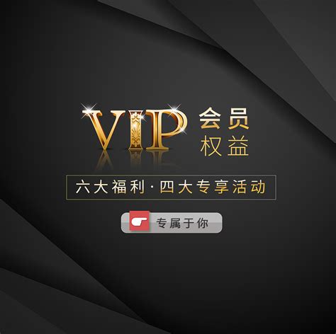网站建设vip服务