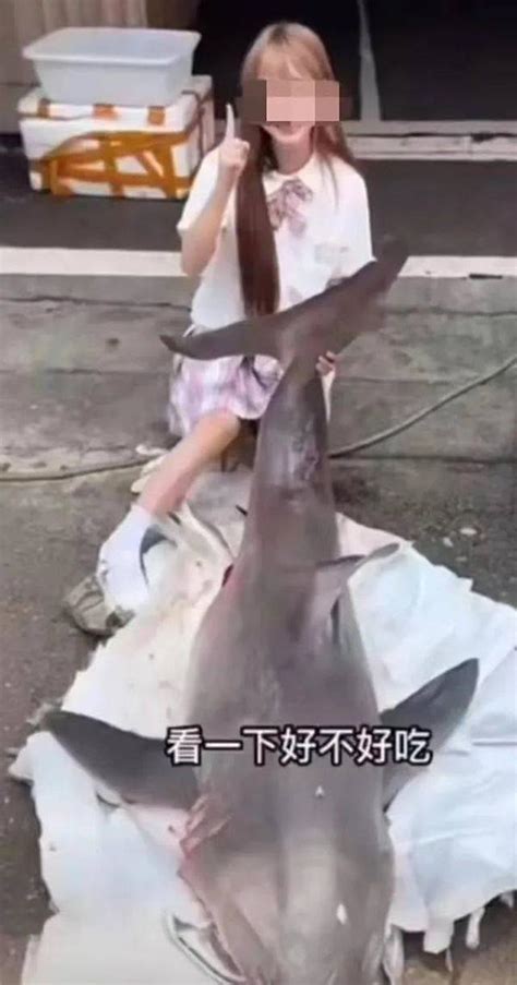 网红吃食人鲨事件后续