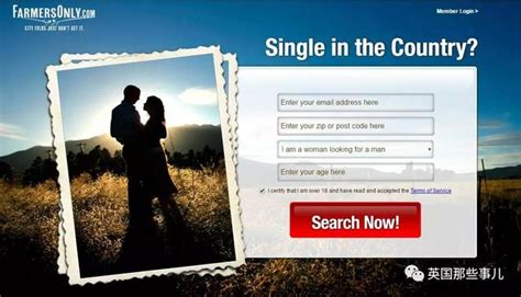 美国婚恋网站排行