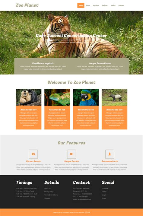 老虎网站设计方案