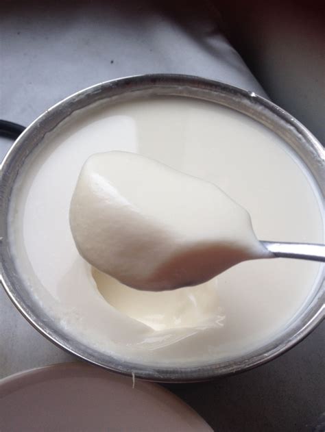 老酸奶的制作方法