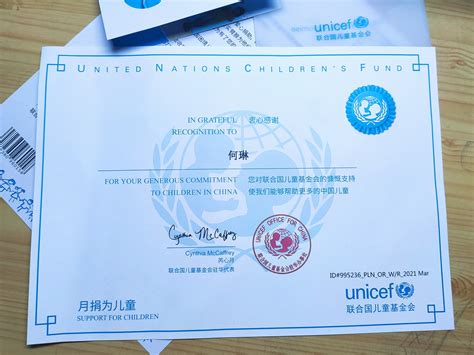 联合国可以拿的证书