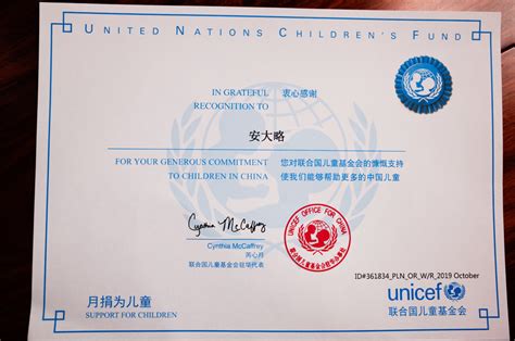 联合国各类证书