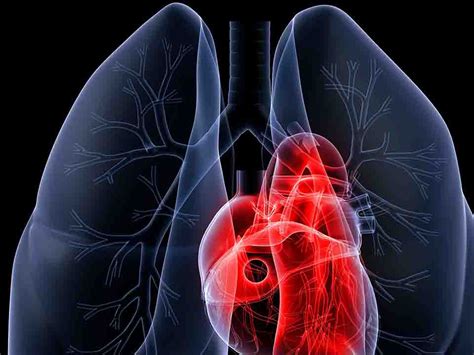 肺癌的早期有哪些现象