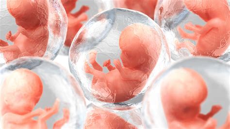 胚胎49天算是一条生命吗