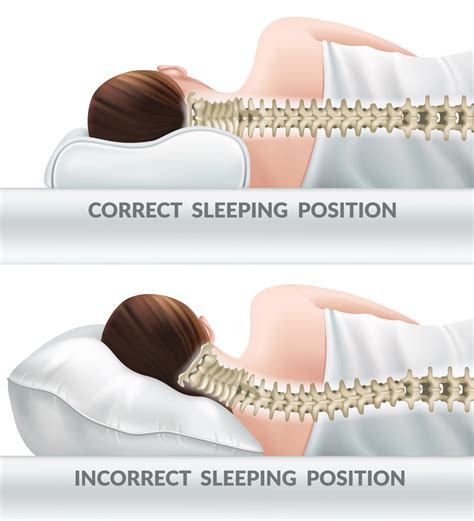 脊椎的正确睡姿图片