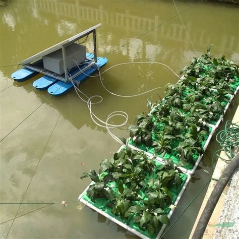 自制水上种植浮床