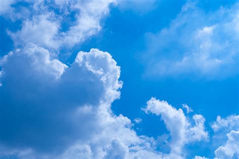 自由飞翔蓝天白云的微信图片