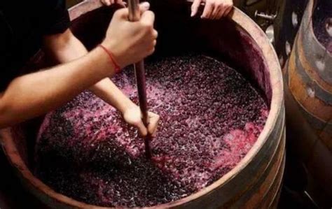 自酿造葡萄酒有害处吗