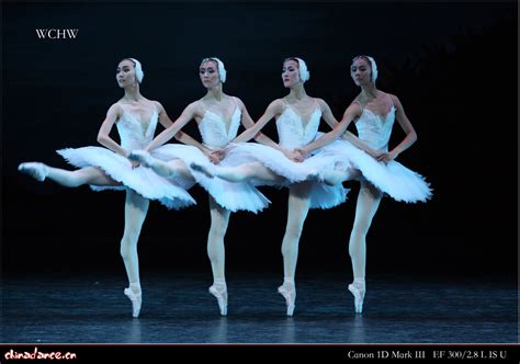芭蕾舞表演打分