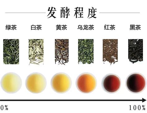 茶叶分类及六大茶类的代表茶