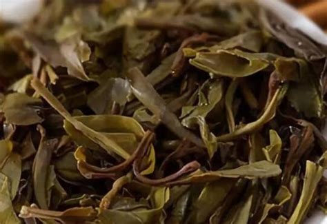 茶叶渣能做植物肥料