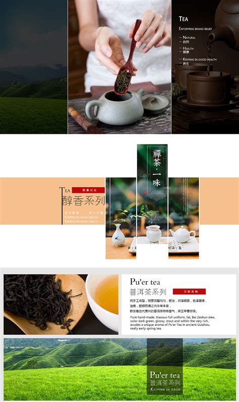 茶叶网络营销方案设计