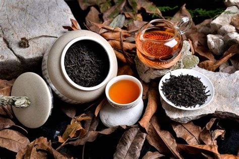 茶的养生作用有哪些呢