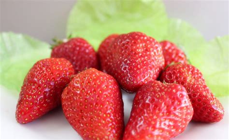 草莓怎么保存才不容易烂掉