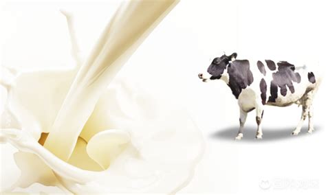 荷兰牛栏的奶粉奶源地有什么区别