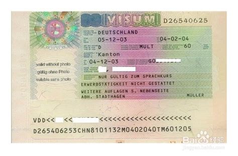 荷兰签证流程图