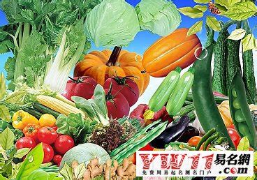 蔬菜公司起名大全免费2022