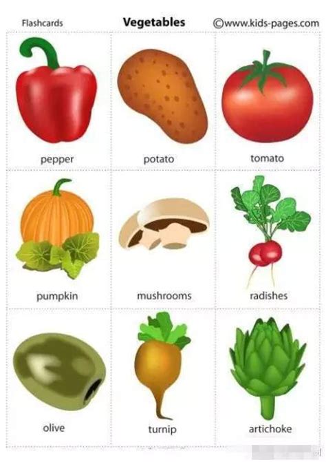 蔬菜和小动物的英语
