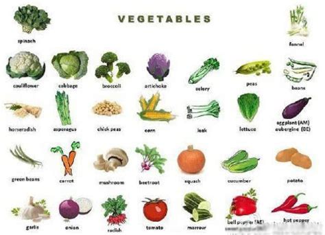 蔬菜怎么起名字好