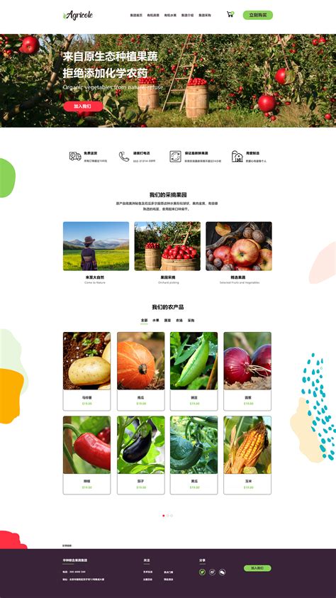 蔬菜批发销售网站设计