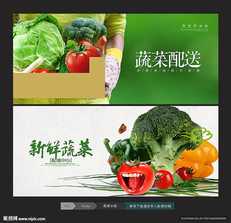 蔬菜水果配送商贸公司起名