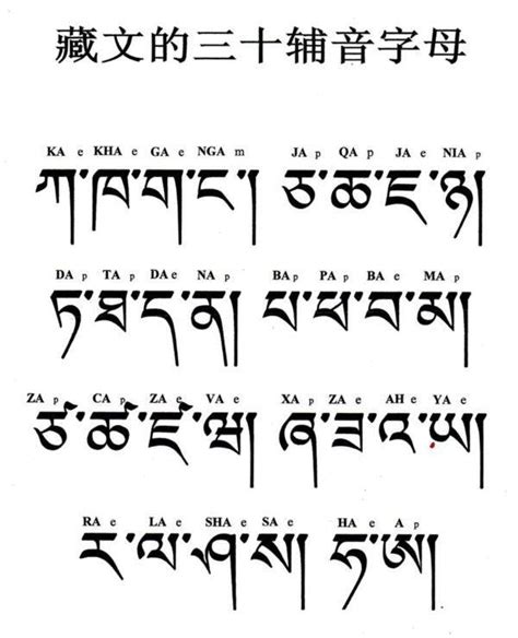 藏语文字大全