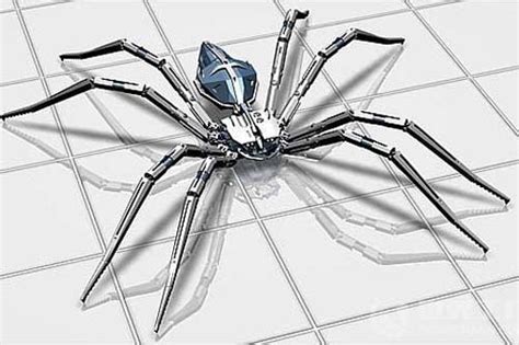 蜘蛛seo工具