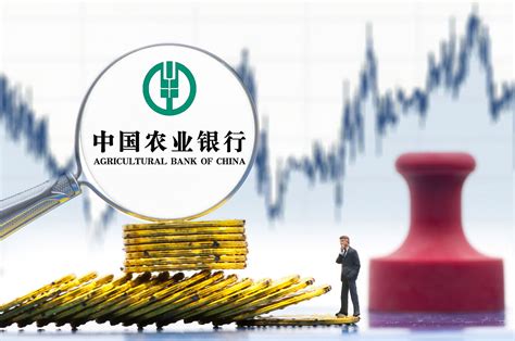 衡阳县农业银行贷款