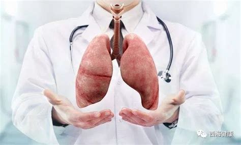 补肺的养生动作