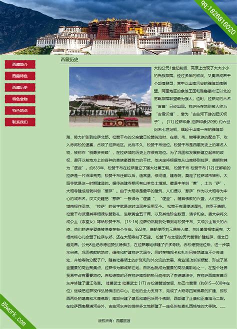西藏网站制作设计