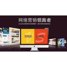 西藏营销型网站建设