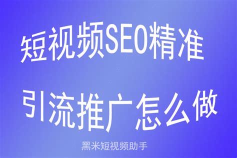 视频seo推广专业公司