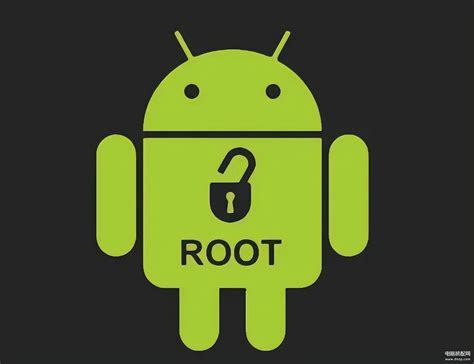 设备root是什么意思
