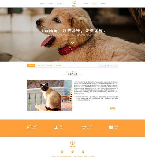 设计一个关于宠物的网站模板