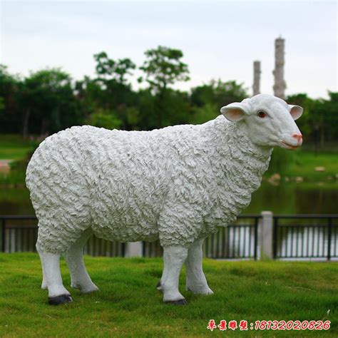 贵州玻璃钢小羊动物雕塑