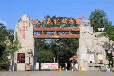 赣州森林动物园在赣州哪个位置