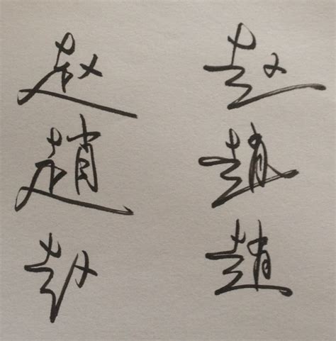 赵字签名艺术字设计