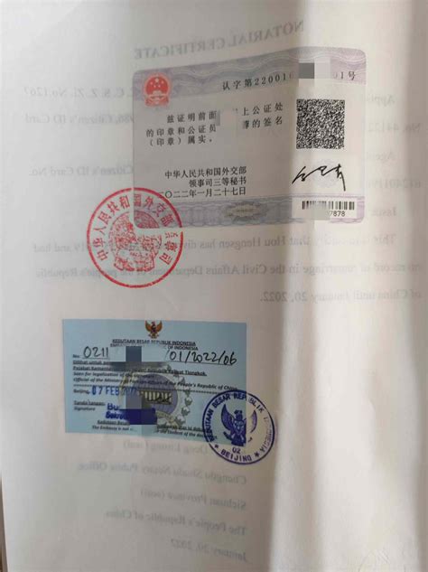 越南单身证明公证资料格式