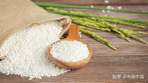轻食里面的米是什么米