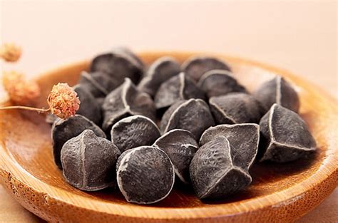 辣木籽的功效与作用及食用方法